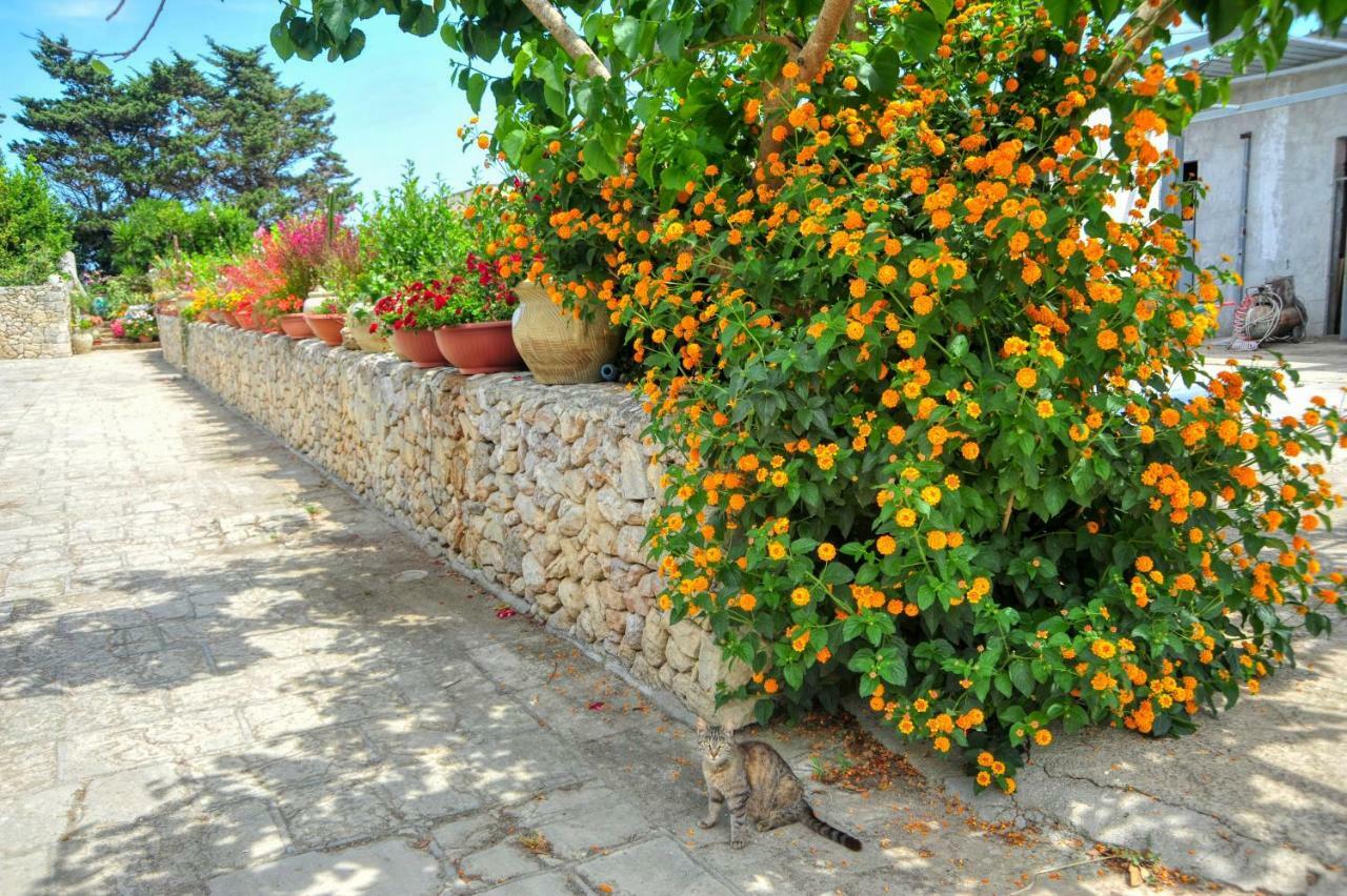 أوترانتو Residence Villa Grotta Monaca المظهر الخارجي الصورة